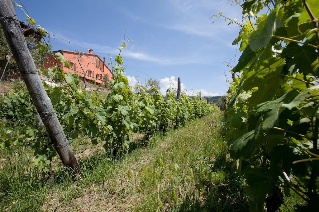 Agriturismo La Burlanda Fosdinovo Kültér fotó